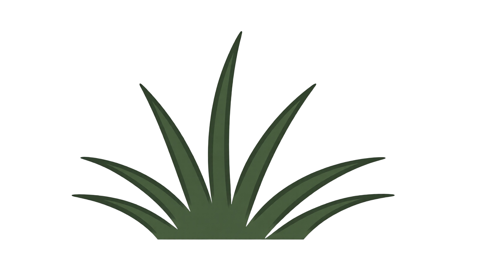 Rochesters Landscaping